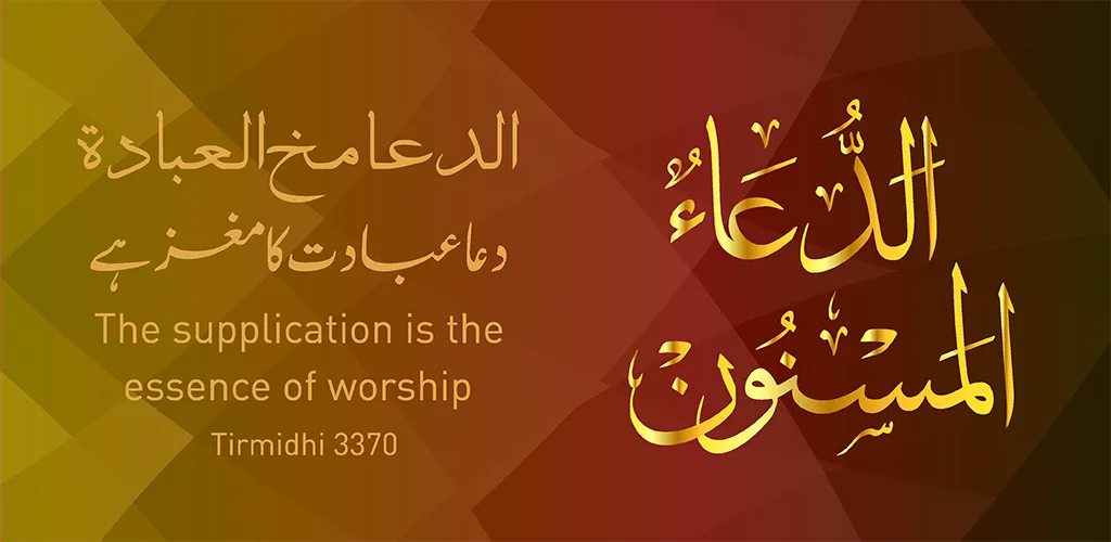 Islamic Studies for Kids